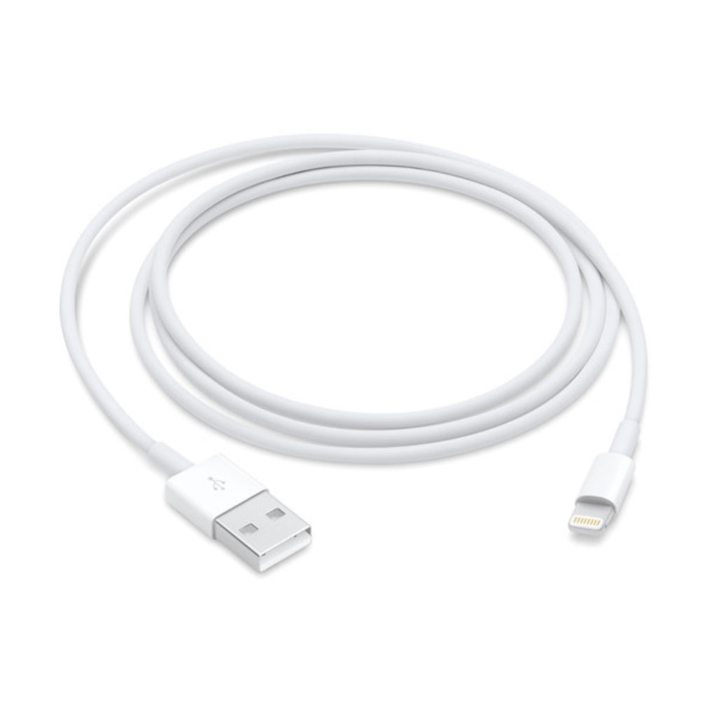 Apple Lightning to USB Cable 1m